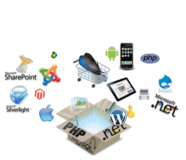 Website Development Services In India